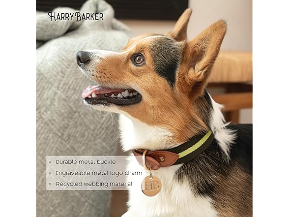 Harry Barker Green Pieced Stripe Buckle Collar