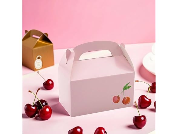 Fun Express Fun Express 6 1/4" x 5 1/2" Pink Cherries 