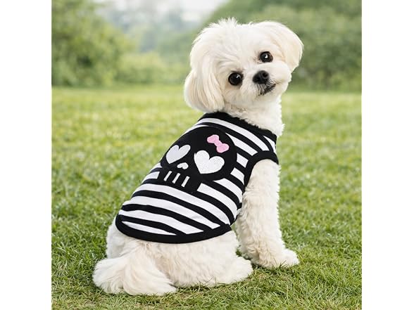 Petitebella Black Skull Face Puppy Dog Shirt