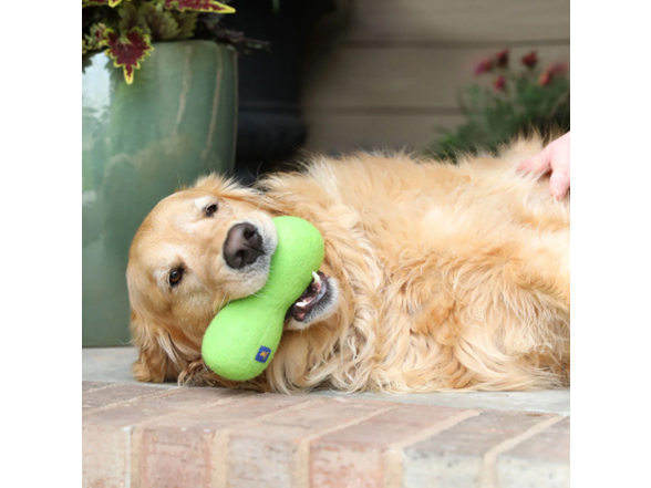 JW Wool-EE Bone 100% Wool Dog Toy