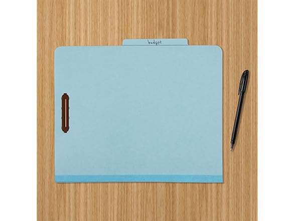 Amazon Basics Amazon Basics Classification Folder