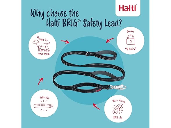Halti BRIG Safety Dog Leash - Color-Coded Dog Leash