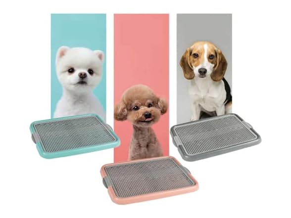 Indoor Dog Potty Training Toilet Tray Pad Hol