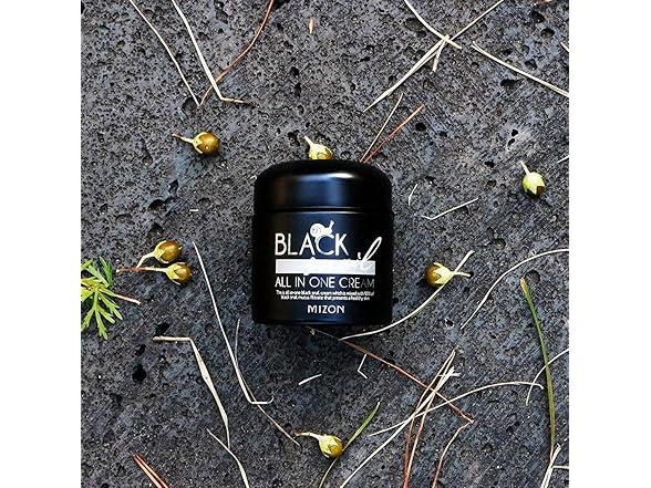 Mizon Black Snail, All In One