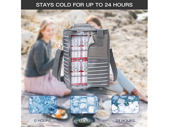 Elements insulated Cooler Bag