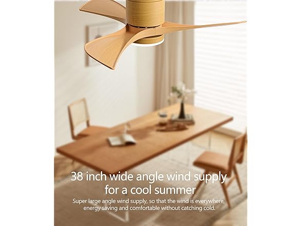 HJBRAND 38 Inch Ceiling Fan with Light