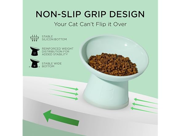 Necoichi 2pcs Tilted Elevated Cat Food Bowls