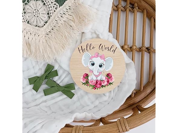 Personalized DIY Wood Birth Announcement
