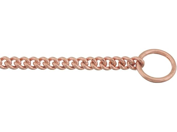 Alvalley Metal Chain Dog Show Collar - Pet Sl