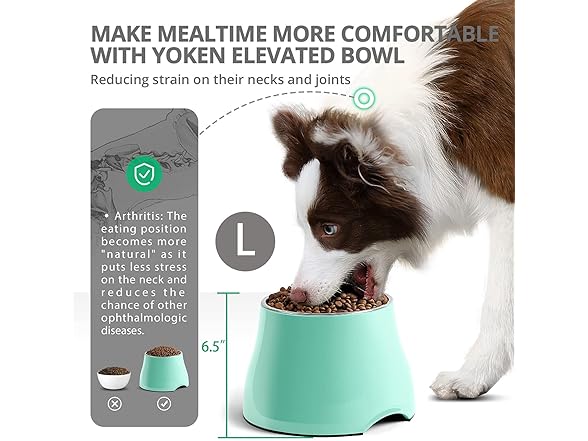 Fluffydream Elevated Dog Bowl, Sz L 2-Pk