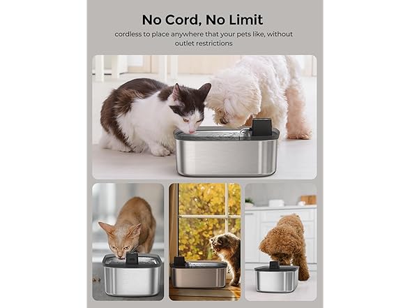 7.5L Large Dog/Cat Water Fountain