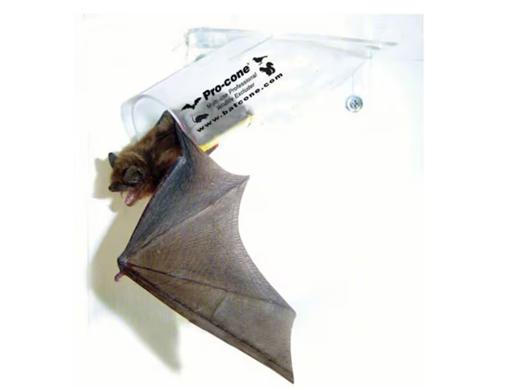 Bird Barrier BIRD BARRIER 1-Way Exit Door (No Re-Entry)