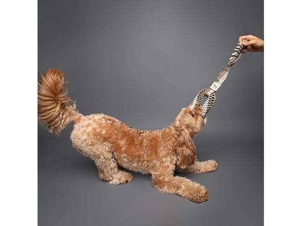 NOAH & PAW Luxury Dog Toy, Dog Rope Toy- Sling, Beige