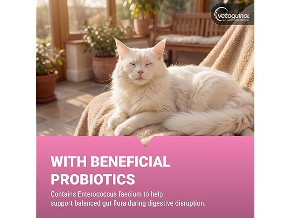 Vetoquinol Pro-Pectalin Oral Paste for D