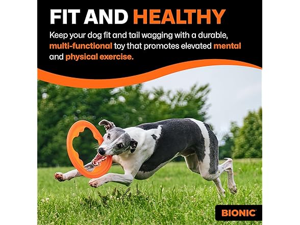 BIONIC Toss-N-Tug Turbo Dog Toy