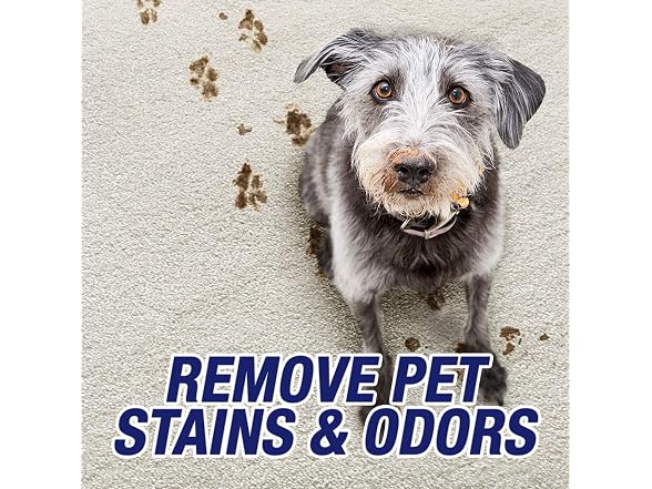 Resolve 99305CT Ultra Pet Stain Spray