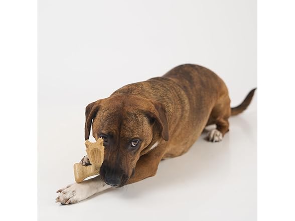 SPOT Bam-Bones Plus Coffee Wood T-Bone- 6"