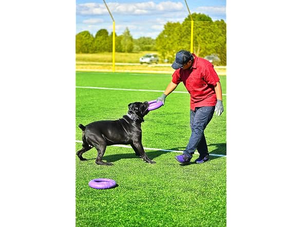 COLLAR Puller Maxi - Innovative Dog Fitness Tool