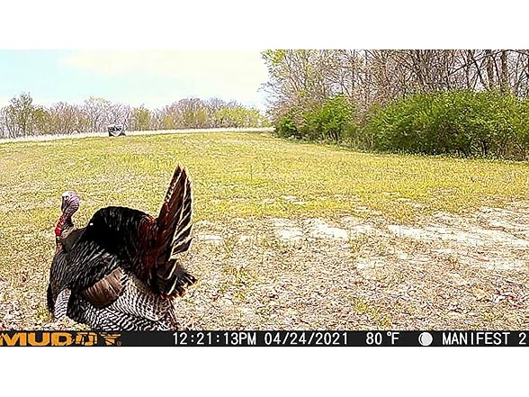 (3 PACK) Muddy Manifest 2.0 Cellular Trail Camera
