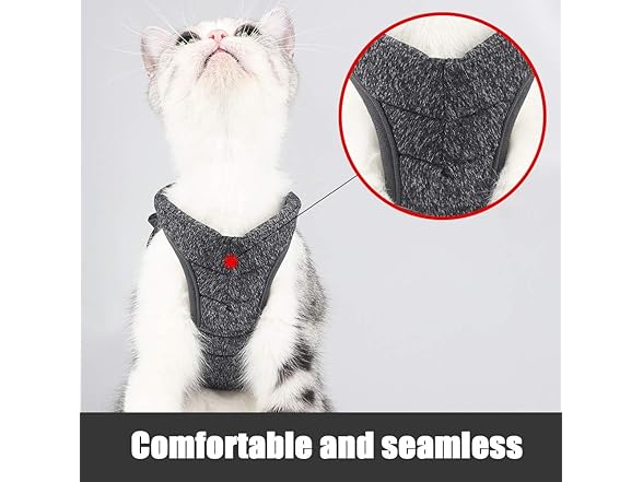PJDDP Small Cat Harness with Leash