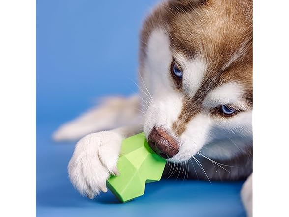 Fringe "You're Adora-Ball Rubber Dog Toy