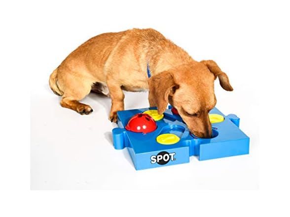 SPOT Seek-A-Treat Flip 'N' Slide Dog Toy