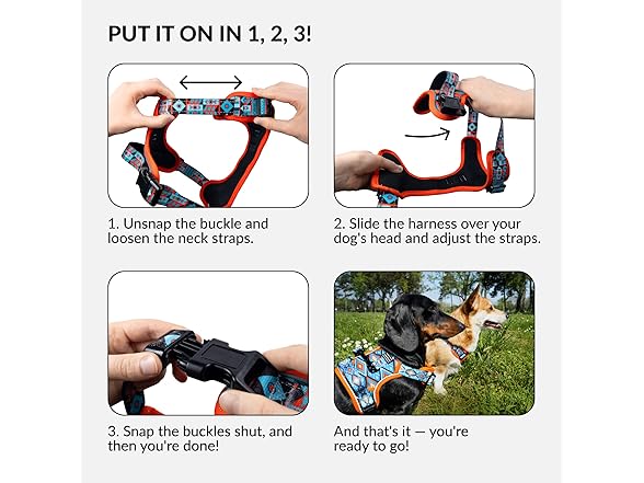 CollarDirect No Pull Reflective Dog Harness- Tribal
