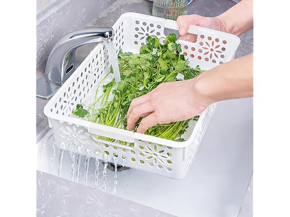 Cetomo Plastic Storage Box, 6-pack