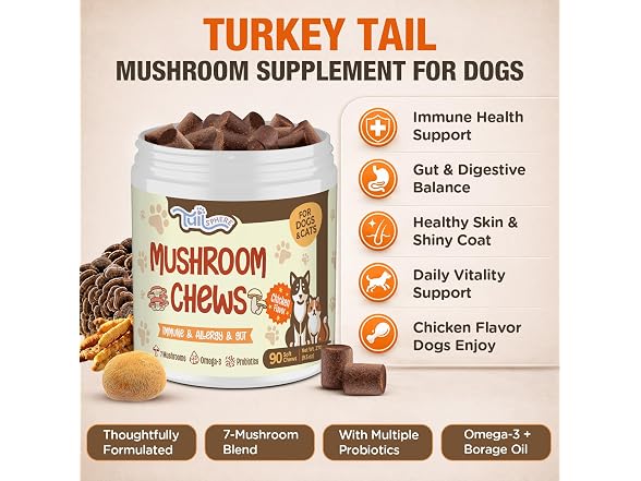 TailSphere Turkey Tail Mushroom