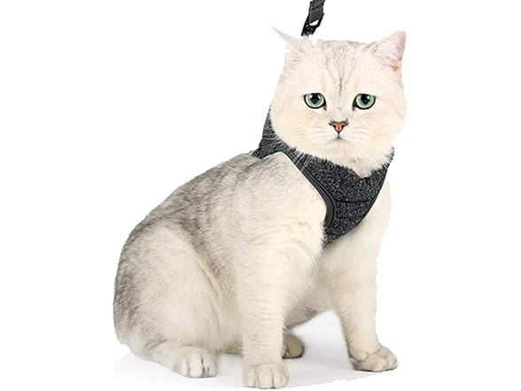 PJDDP Small Cat Harness with Leash