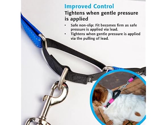 Rogz Control Martingale Web Collar Small
