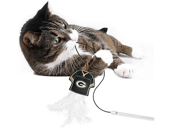 NFL Green Bay Packers Team Jersey Wand with CAT NIP