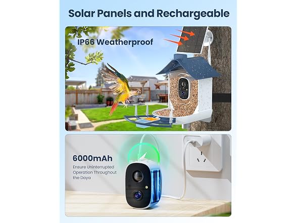 Smart Bird Feeder With Camera, Ai Bird