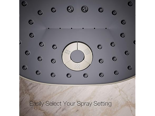  Kohler 26290-G-BN Statement 