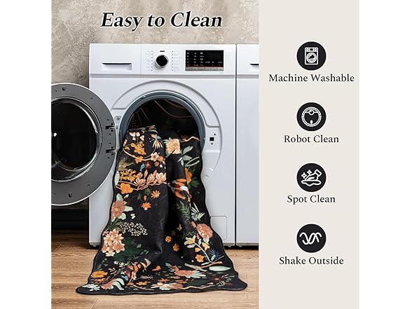 Rugflix Rugflix 2x6 Runner Rug for Hallway