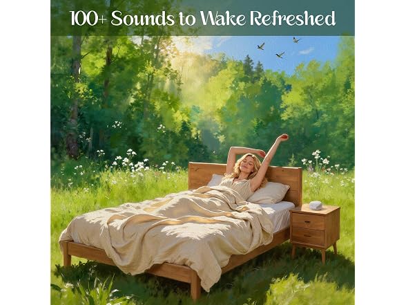 Sound Machine For Sleep Smart White
