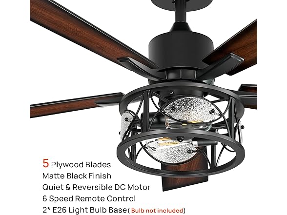 Consciot Ceiling Fan With Lights, 52 Inc