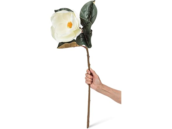 Abbott Collection Large Magnolia Bloom