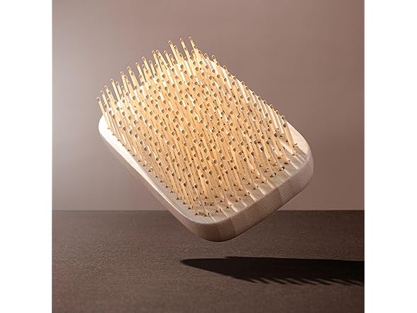 EcoTools Travel Detangler Hairbrush