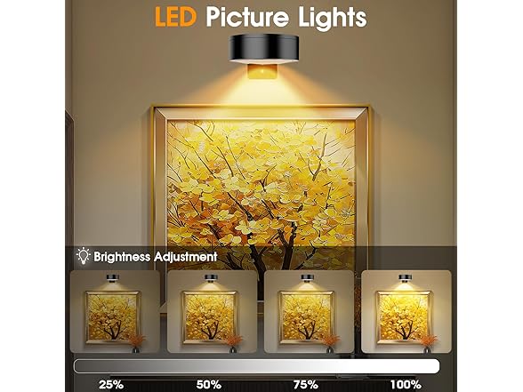 Hakol RGB Picture Light Battery Operated Painting Lights