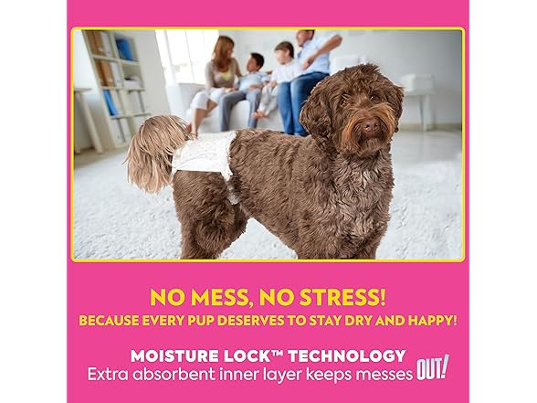 OUT! PetCare Disposable Female Dog Diapers