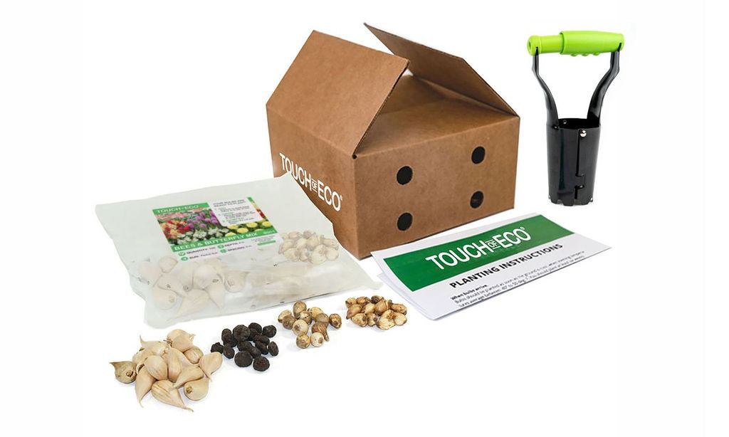 Bees & Butterfly Collection (200 Bulbs with Tool) - Gallery 16