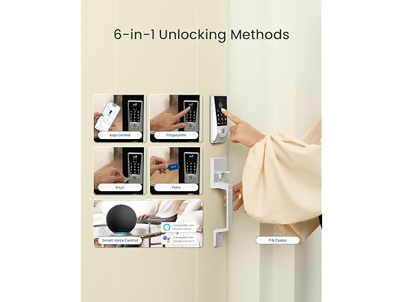 DESLOC D110 Plus Smart Lock w/Handle Set