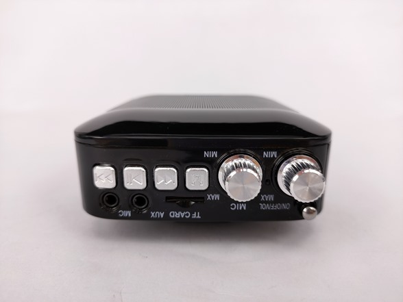 100W Portable PA Speaker System