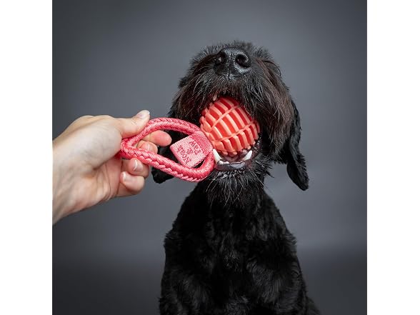 NOAH & PAW Luxury Dog Toy, TPU- Tug Ball, Pink