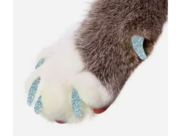 Silver Glitter
