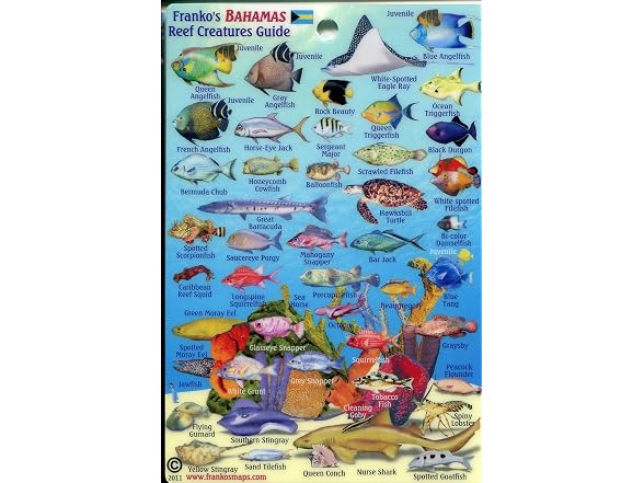 Mini Bahama Islands Id Card