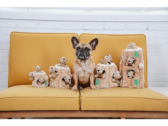 Outward Hound Hide-A-Squirrel Dog Toy – Medium