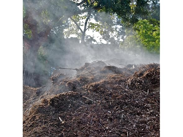 Jobe's 09926 Organic Compost Starter