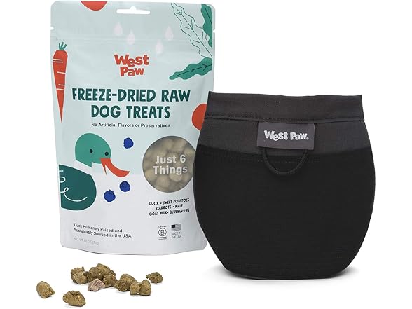 West Paw Design Outings Dog Treat Pouch